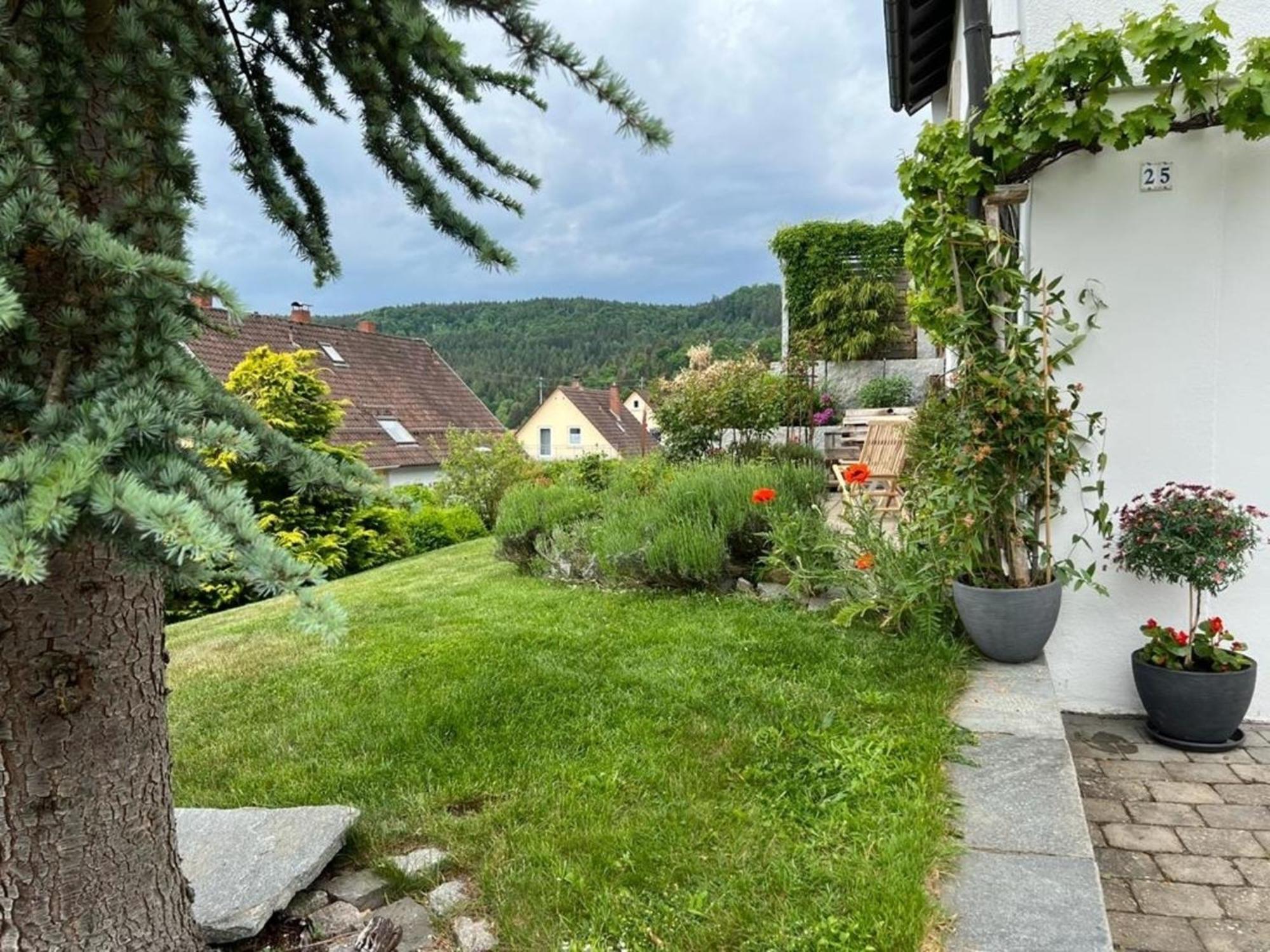 Ferienwohnung Jardin De Lavande Fridingen an der Donau Kültér fotó