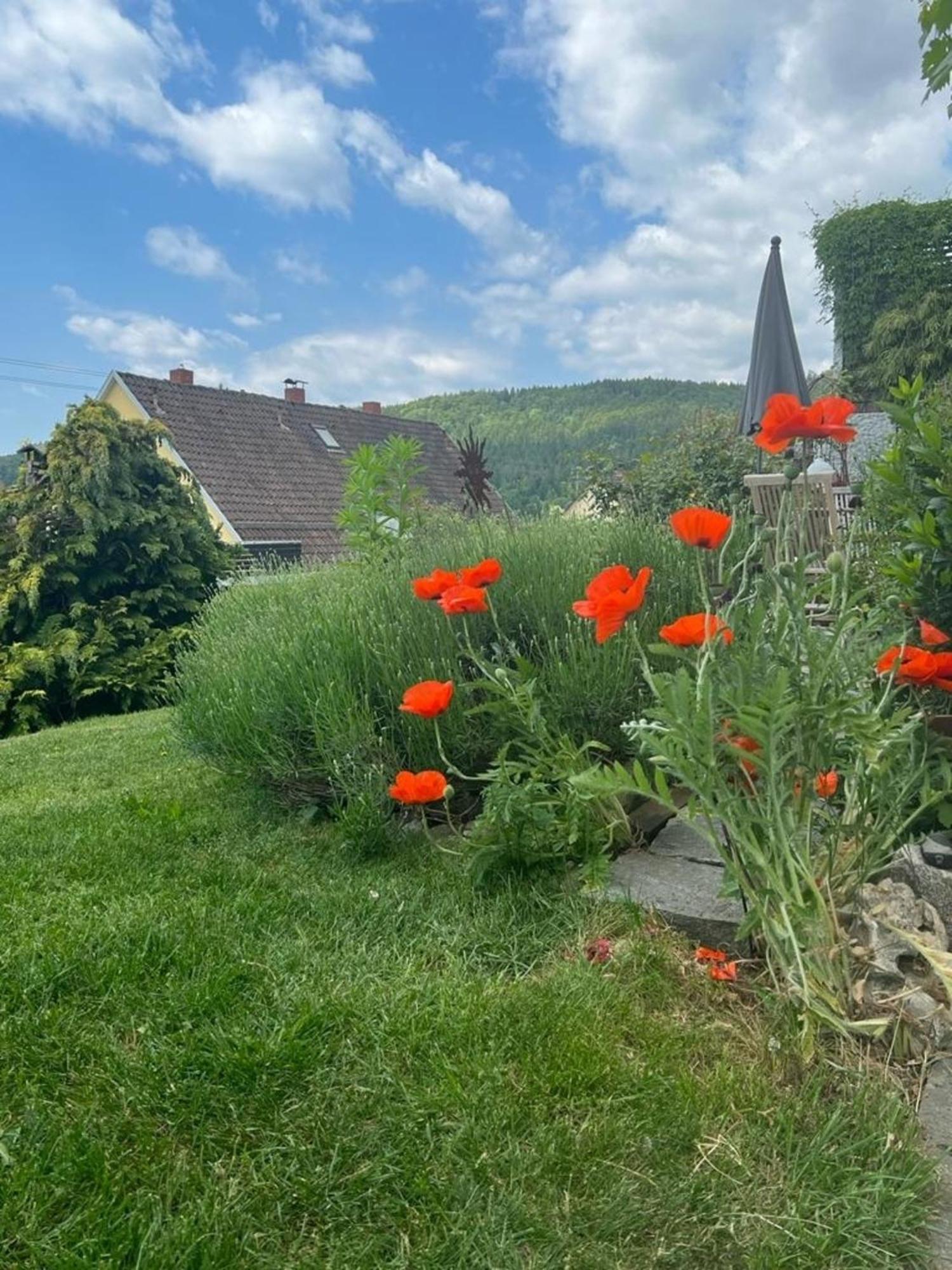 Ferienwohnung Jardin De Lavande Fridingen an der Donau Kültér fotó